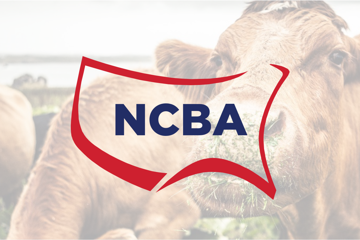 National Cattlemen’s Beef Association campaign