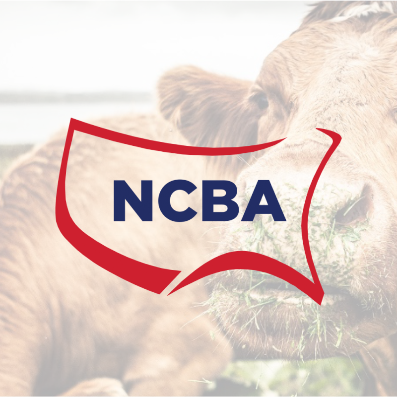 National Cattlemen’s Beef Association campaign